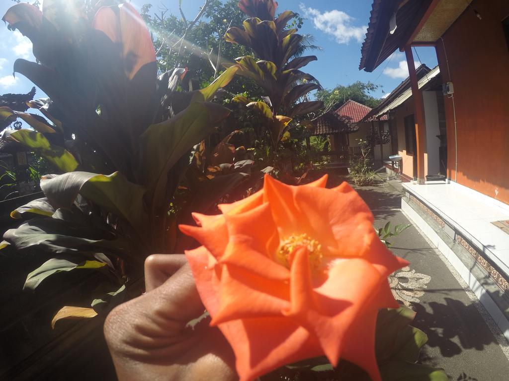 Dipa Home Stay Ubud  Luaran gambar