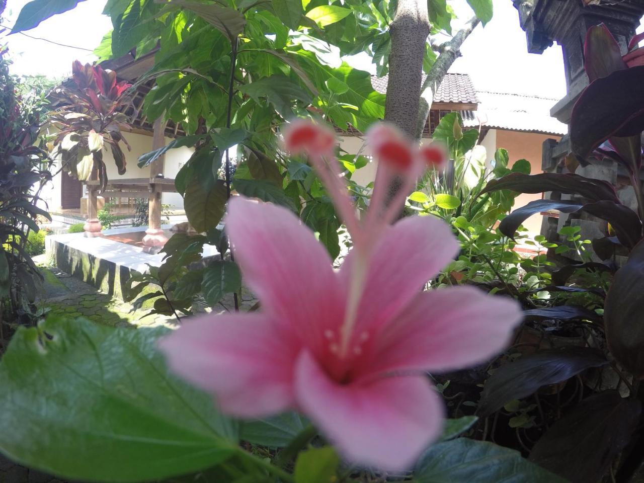 Dipa Home Stay Ubud  Luaran gambar